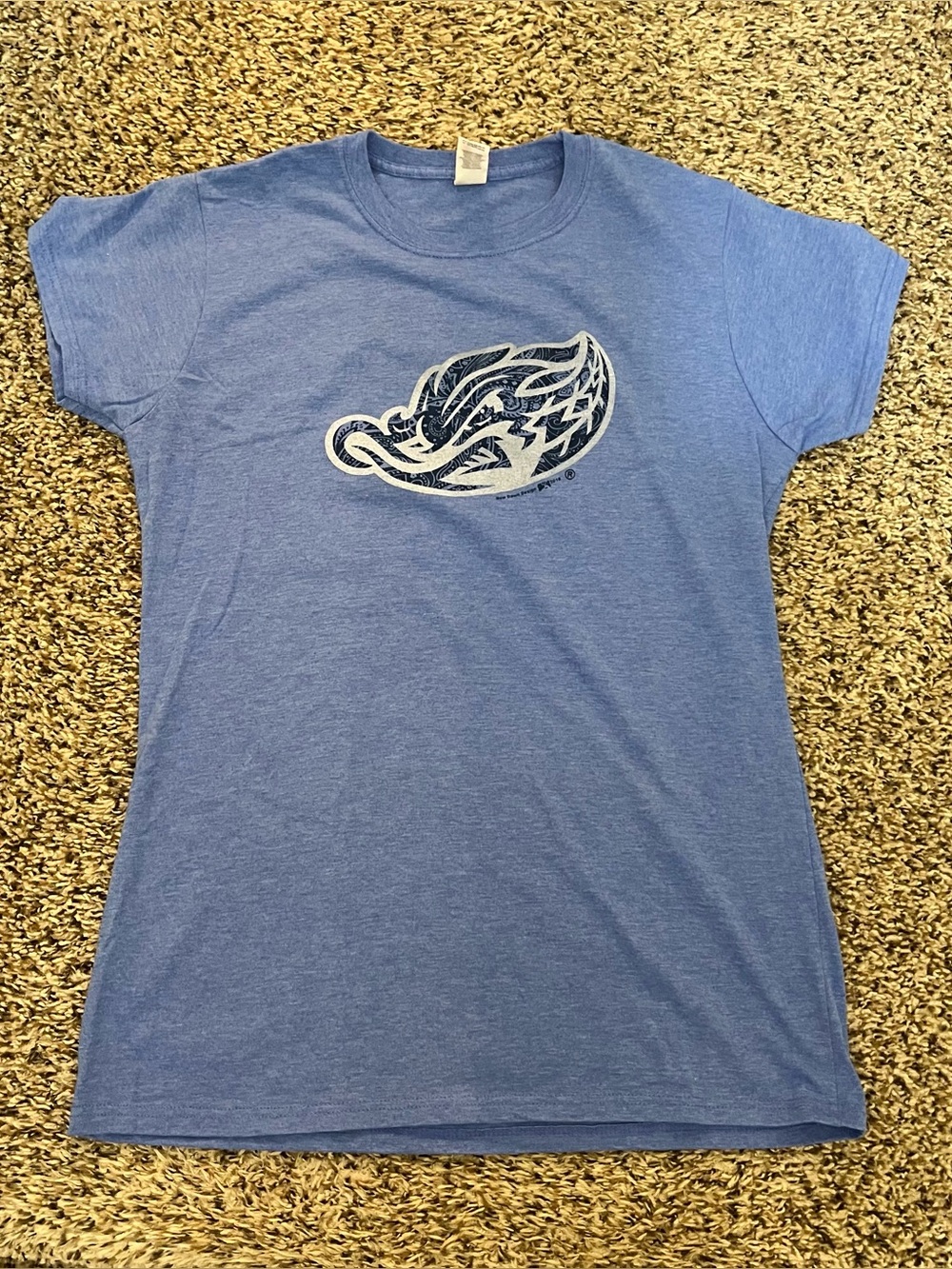 Woman’s Blue Akron Rubber Ducks T-Shirt Size XL